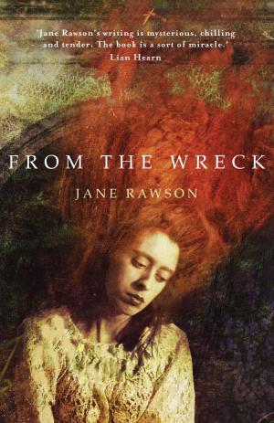 Cover of the book From the Wreck by John Kinsella