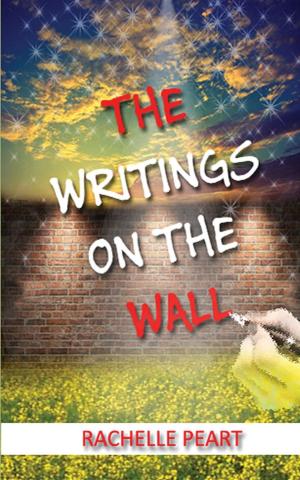 Cover of the book The Writings on the Wall by Валерия Вьюшкова
