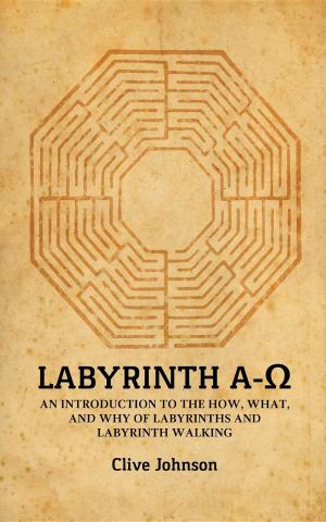Book cover of Labyrinth A-Ω