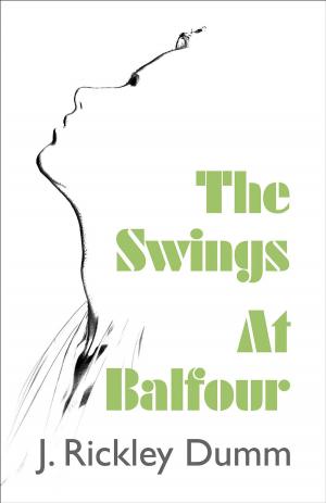 Book cover of The Swings At Balfour