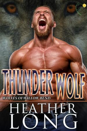 Cover of the book Thunder Wolf by Jennie Kew