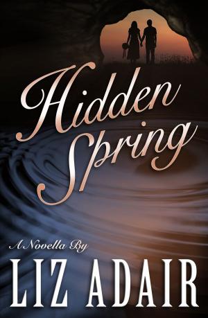 Cover of the book Hidden Spring: A Novella by Antonia Pauly