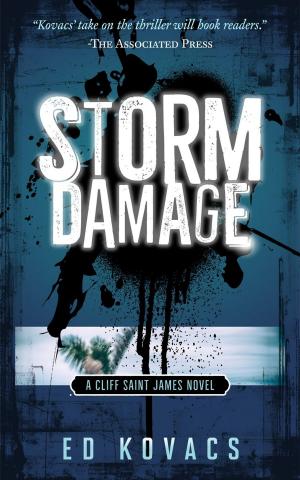 Cover of the book Storm Damage by Mystery Tribune, Lynne Barrett, Dan Fiore, Paul Heatley, Nick Kolakowski, William Soldan, Teresa Sweeney