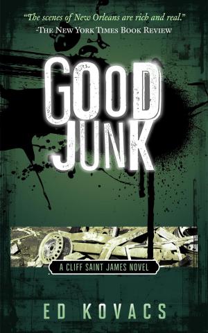 Cover of the book Good Junk by S.K. Aetherphoxx