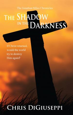 Cover of the book The Shadow in the Darkness by J. Robert Janes