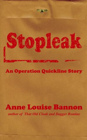 Cover of the book Stopleak by Sandra Baublitz