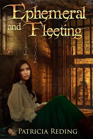 Cover of the book Ephemeral and Fleeting by Ann Marston