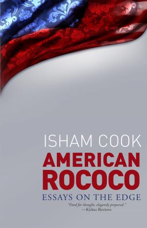 Book cover of American Rococo: Essays On the Edge