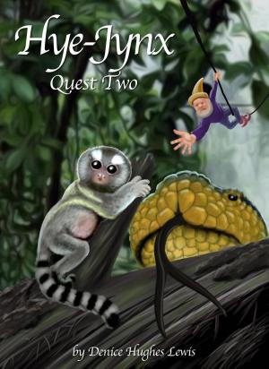 Book cover of Hye-Jynx: Quest Two
