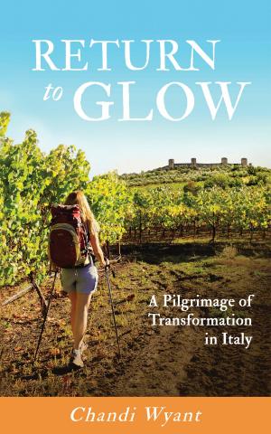 bigCover of the book Return to Glow by 