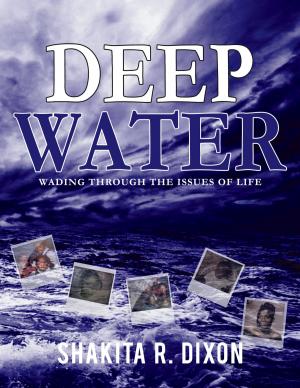 Cover of the book Deep Water by 張愛民