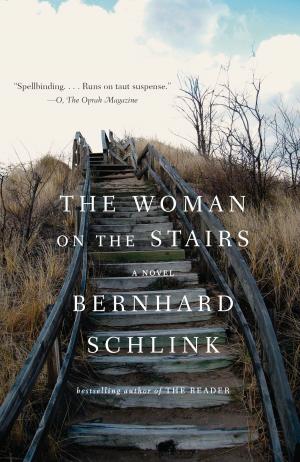Cover of the book The Woman on the Stairs by Steve Lake