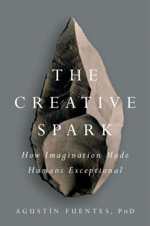 bigCover of the book The Creative Spark by 