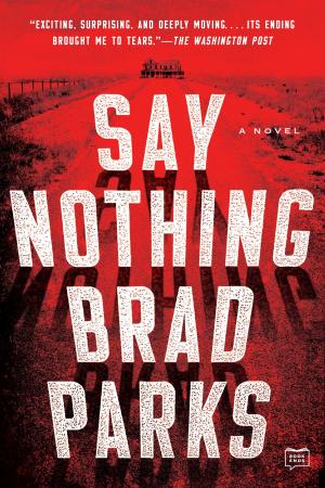 Cover of the book Say Nothing by Kate Carlisle