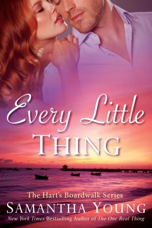 bigCover of the book Every Little Thing by 