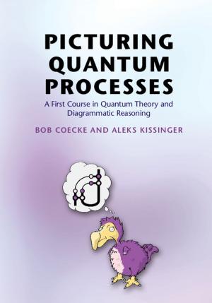 Cover of Picturing Quantum Processes