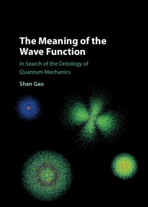 Book cover of The Meaning of the Wave Function