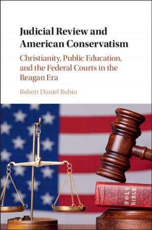 Cover of the book Judicial Review and American Conservatism by Álvaro Cartea, Sebastian Jaimungal, José Penalva
