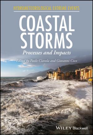 Cover of the book Coastal Storms by Matthias Meyer, Holger Birl, Ramon Knollmann, Carsten Sieber, Jürgen Weber, Hendrik Schlüter