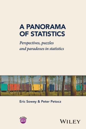 Cover of the book A Panorama of Statistics by Sally Augustin, Cindy Coleman