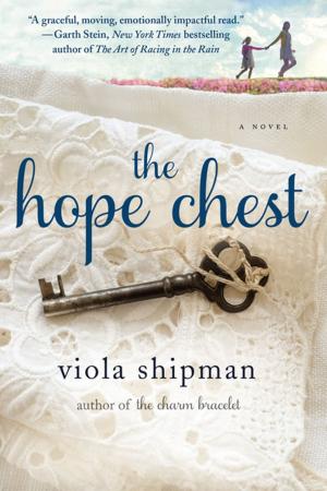 Cover of the book The Hope Chest by Barbara Wood