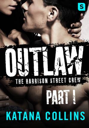 Cover of the book Outlaw: Part 1 by P. C. Cast