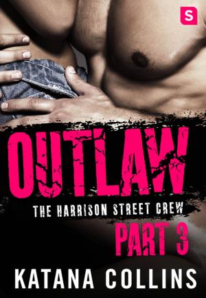 Book cover of Outlaw: Part 3
