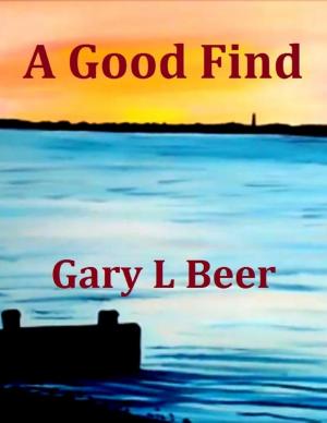 Cover of the book A Good Find by Phillip Wallace