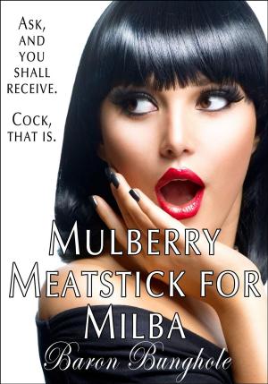 Book cover of Mulberry Meatstick for Milba