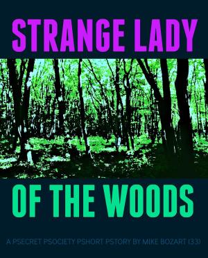 Book cover of Strange Lady of the Woods
