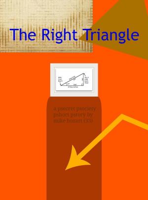 Book cover of The Right Triangle