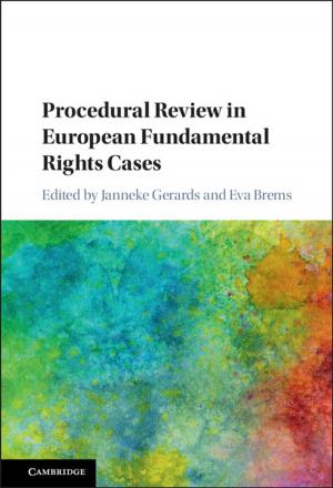 Cover of the book Procedural Review in European Fundamental Rights Cases by Jenno Bryce