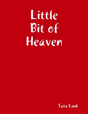 Cover of the book Little Bit of Heaven by Indrajit Bandyopadhyay