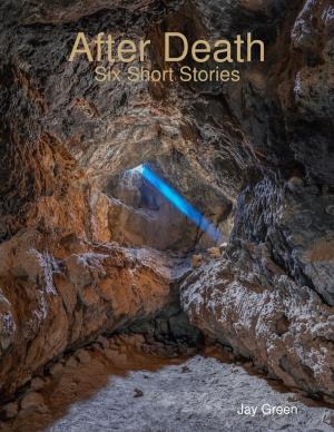 Book cover of After Death