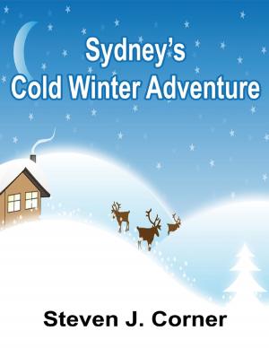 Cover of the book Sydney’s Cold Winter Adventure by Deborah Haddix