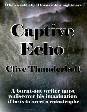 Cover of the book Captive Echo by Virinia Downham