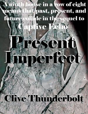 Cover of the book Present Imperfect by Chris Morningforest, Rebecca Raymond