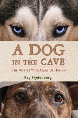 bigCover of the book A Dog in the Cave by 