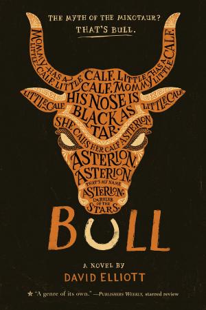 Cover of the book Bull by Robin LaFevers