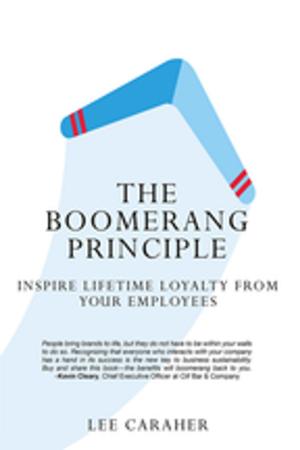 Cover of the book The Boomerang Principle by Dafna Kariv