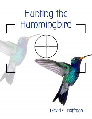 Cover of the book Hunting the Hummingbird by Erik Anaya