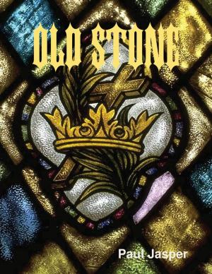 Cover of the book Old Stone by Scott C. Anderson