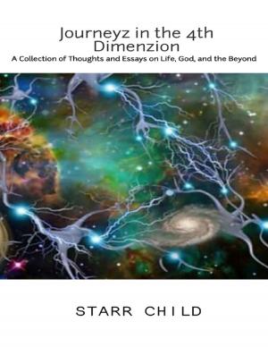 Cover of the book Journeyz In the 4th Dimenzion: A Collection of Thoughts & Essays on Life, God, and the Beyond by Vince Stead
