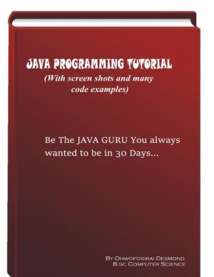 Cover of the book Java Programming Tutorial With Screen Shots & Many Code Example by Javin Strome