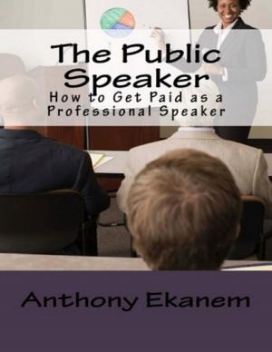 Cover of the book The Public Speaker: How to Get Paid As a Professional Speaker by Nellie Vincent