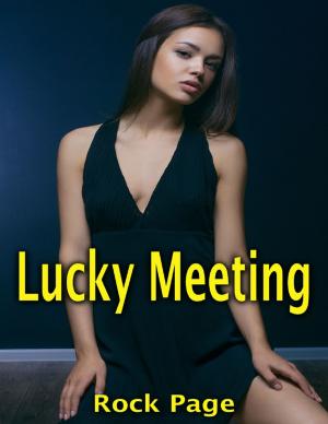 Cover of the book Lucky Meeting by Candace Warzecha