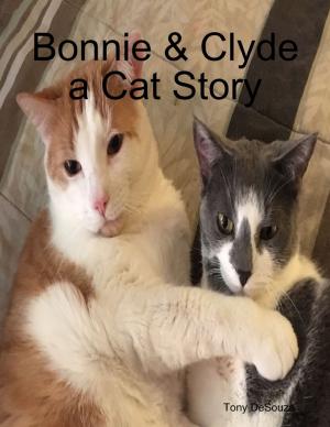 Cover of the book Bonnie & Clyde a Cat Story by Matthew Presley