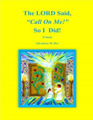 Cover of the book The LORD Said, "Call On Me!" So I Did! by Morgan Ackerly