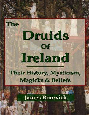 Cover of the book The Druids of Ireland Their History, Mysticism, Magicks and Beliefs by Sonya Cerise Curtis