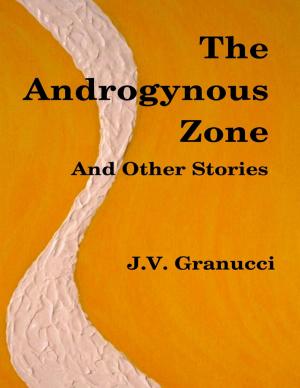 Cover of the book The Androgynous Zone and Other Stories by Daniel Blue